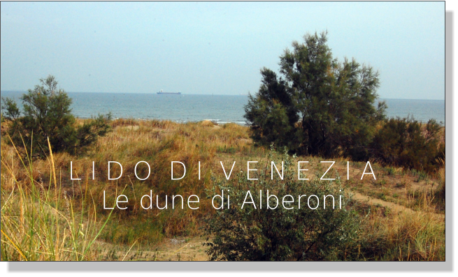 L I D O  D I  V E N E Z I A Le dune di Alberoni