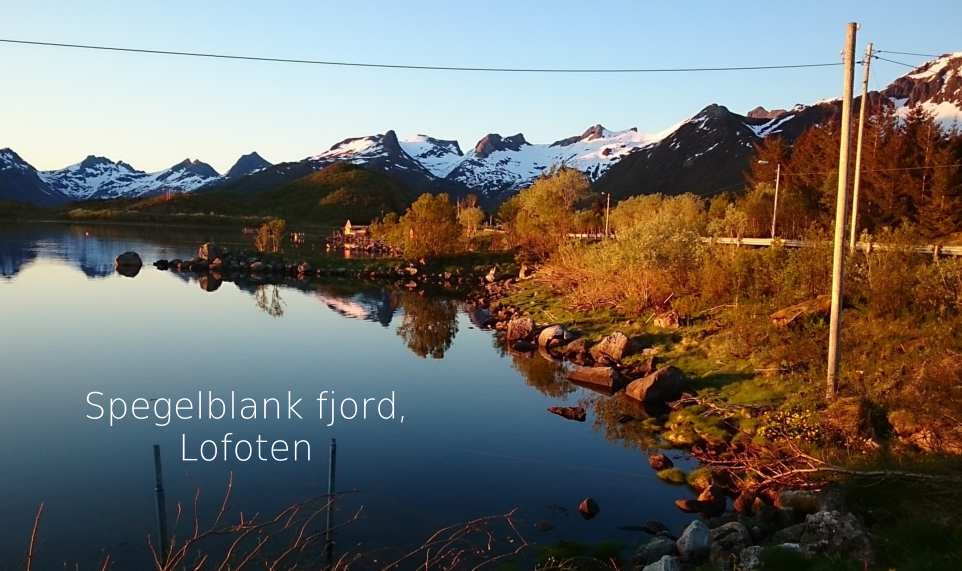 Spegelblank fjord, Lofoten
