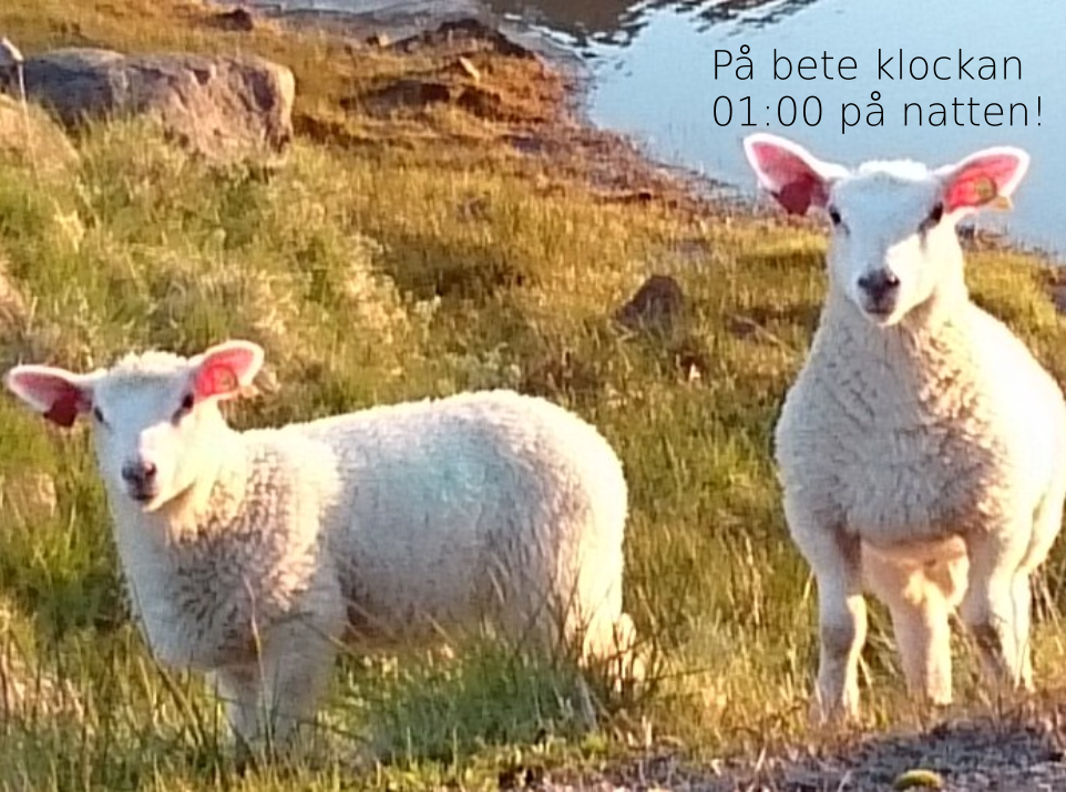 P bete klockan 01:00 p natten!