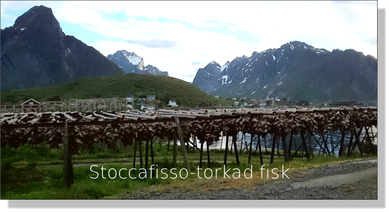 Stoccafisso-torkad fisk
